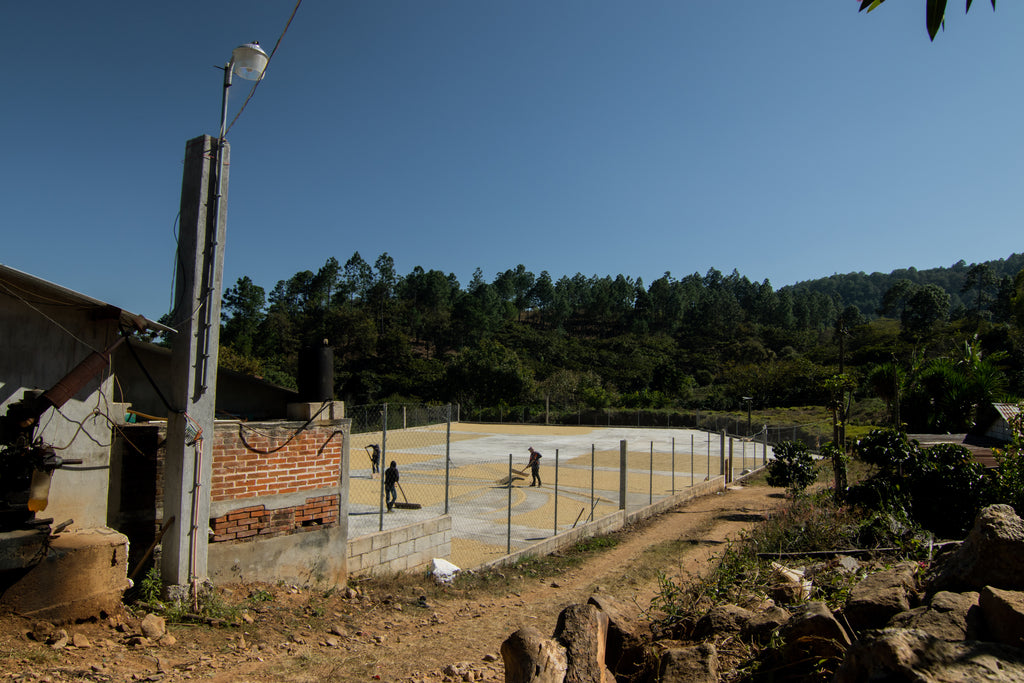 Guatemala Lote Magnolia