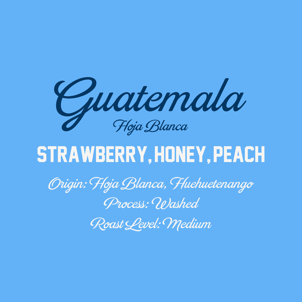Guatemala Hoja Blanca