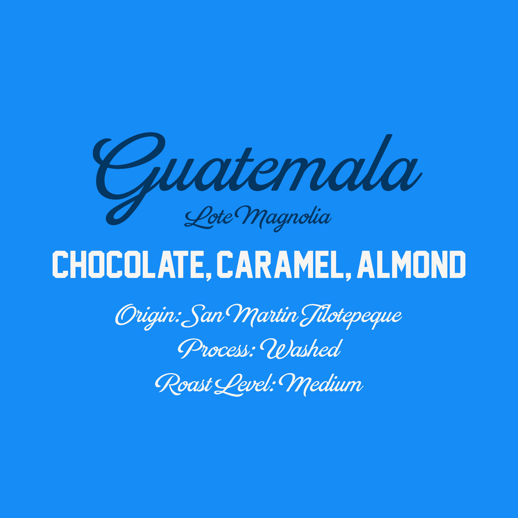 Guatemala Lote Magnolia