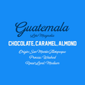 Guatemala Lote Magnolia