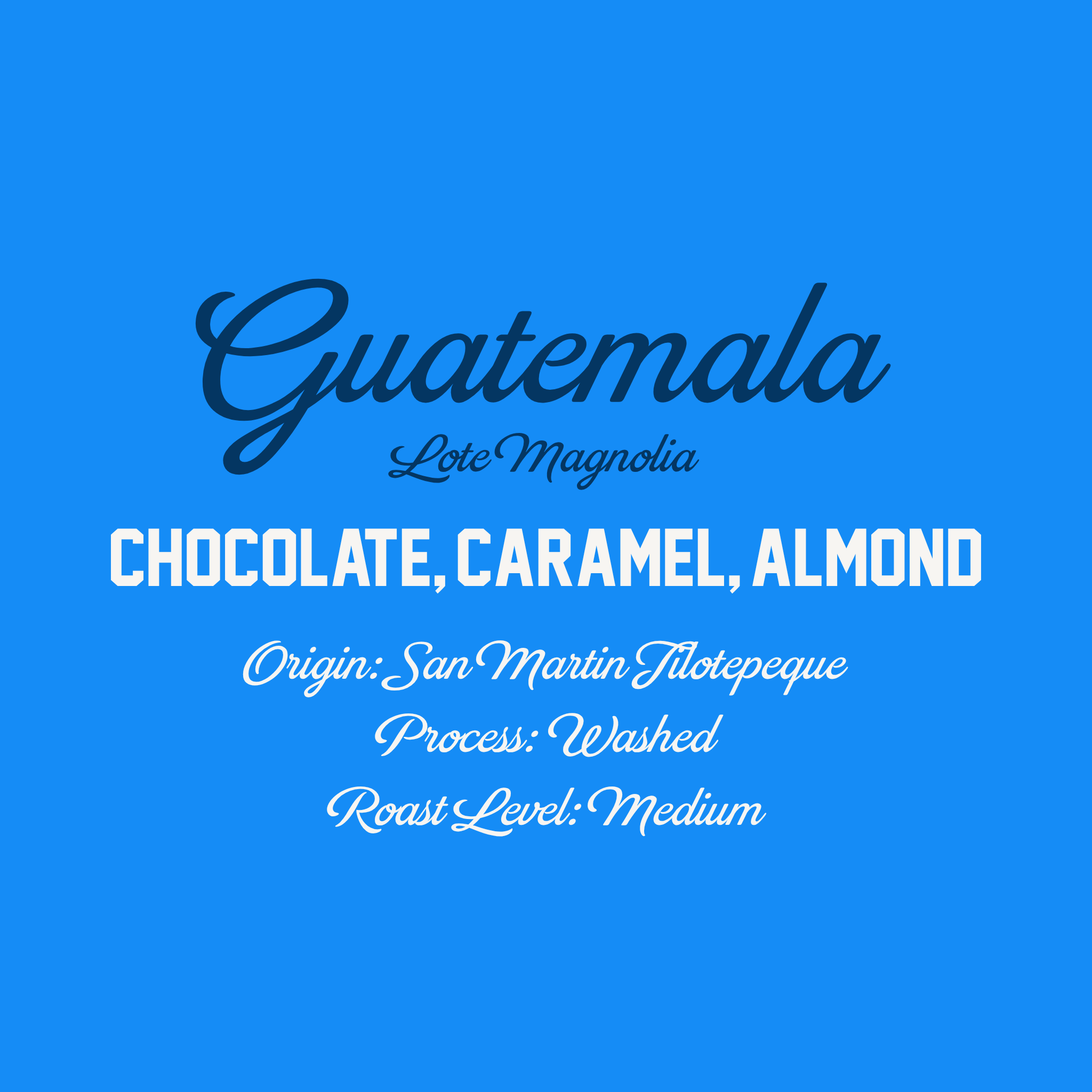 Guatemala Lote Magnolia